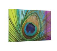 Quadro su Vetro 120x80cm Pavoni piume arcobaleno Stampe Immagini Moderni Murale