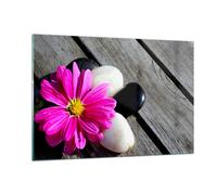 Quadro su Vetro 120x80cm Pietra fiore petali crisantemo Stampe Moderni Murale
