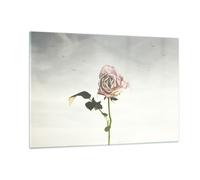 Quadro su Vetro 120x80cm Rosa uccelli cielo Stampe Immagini Moderni Murale