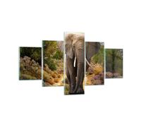 Quadro su Vetro 125x70cm Animali Africa elefante camminare Stampe Moderni Murale