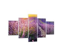 Quadro su Vetro 125x70cm Campo Lavanda Sole Stampe Immagini Moderni Murale