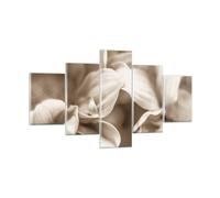 Quadro su Vetro 125x70cm Fiori Boho Senza Stampe Immagini Quadri Moderni Murale
