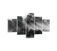 Quadro su Vetro 125x70cm In bianco e nero alberi nebbia Stampe Moderni Murale