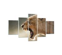 Quadro su Vetro 125x70cm Leone Leonessa Zanne Stampe Immagini Moderni Murale
