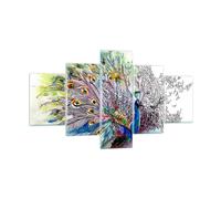 Quadro su Vetro 125x70cm pavone piuma colore Stampe Immagini Moderni Murale
