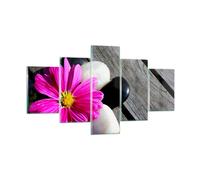 Quadro su Vetro 125x70cm Pietra fiore petali crisantemo Stampe Moderni Murale