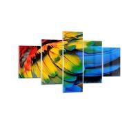 Quadro su Vetro 125x70cm piuma pappagallo uccello Stampe Immagini Moderni Murale