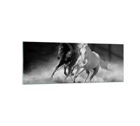 Quadro su Vetro 140x50cm Andaluso Cavalli Galoppo Stampe Immagini Moderni Murale