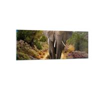 Quadro su Vetro 140x50cm Animali Africa elefante camminare Stampe Moderni Murale
