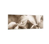 Quadro su Vetro 140x50cm Fiori Boho Senza Stampe Immagini Quadri Moderni Murale