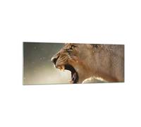 Quadro su Vetro 140x50cm Leone Leonessa Zanne Stampe Immagini Moderni Murale