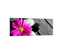 Quadro su Vetro 140x50cm Pietra fiore petali crisantemo Stampe Moderni Murale