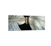 Quadro su Vetro 140x50cm Piuma Romantico Matrimonio Stampe Moderni Murale