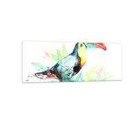 Quadro su Vetro 140x50cm Uccello Tucano la curiosità selvaggio Stampe Murale
