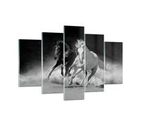 Quadro su Vetro 150x100cm Andaluso Cavalli Galoppo Stampe Moderni Murale