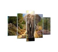 Quadro su Vetro 150x100cm Animali Africa elefante camminare Stampe Murale