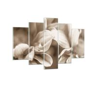 Quadro su Vetro 150x100cm Fiori Boho Senza Stampe Immagini Quadri Moderni Murale