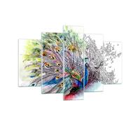 Quadro su Vetro 150x100cm pavone piuma colore Stampe Immagini Moderni Murale