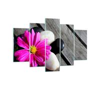 Quadro su Vetro 150x100cm Pietra fiore petali crisantemo Stampe Moderni Murale