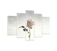 Quadro su Vetro 150x100cm Rosa uccelli cielo Stampe Immagini Moderni Murale