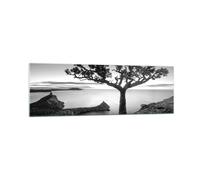 Quadro su Vetro 160x50cm Albero Bianco E Nero Vista Stampe Moderni Murale