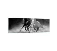 Quadro su Vetro 160x50cm Andaluso Cavalli Galoppo Stampe Immagini Moderni Murale
