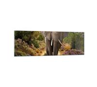 Quadro su Vetro 160x50cm Animali Africa elefante camminare Stampe Moderni Murale