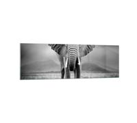 Quadro su Vetro 160x50cm Elefante natura selvaggia natura Stampe Moderni Murale