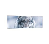 Quadro su Vetro 160x50cm Lupo predatore natura selvaggia Stampe Moderni Murale