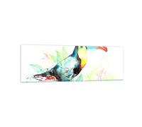 Quadro su Vetro 160x50cm Uccello Tucano la curiosità selvaggio Stampe Murale