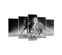 Quadro su Vetro 160x85cm Andaluso Cavalli Galoppo Stampe Immagini Moderni Murale