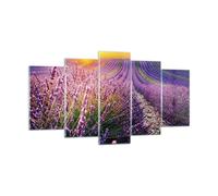 Quadro su Vetro 160x85cm Campo Lavanda Sole Stampe Immagini Moderni Murale