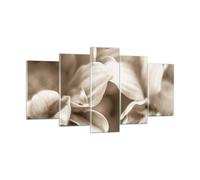 Quadro su Vetro 160x85cm Fiori Boho Senza Stampe Immagini Quadri Moderni Murale