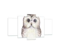 Quadro su Vetro 160x85cm Gufo Allocco Grafica Stampe Immagini Moderni Murale