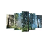 Quadro su Vetro 160x85cm La foresta l'alba il sole Stampe Moderni Murale