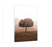 Quadro su Vetro 50x70cm Albero Autunno Natura Stampe Immagini Moderni Murale