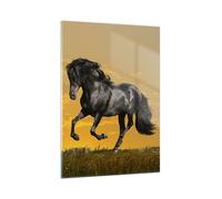 Quadro su Vetro 50x70cm Animali cavallo correndo prato Stampe Moderni Murale