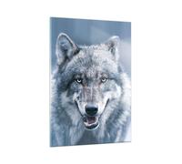 Quadro su Vetro 50x70cm Lupo predatore natura selvaggia Stampe Moderni Murale