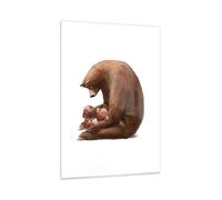 Quadro su Vetro 50x70cm Orso orsacchiotti bambini Stampe Immagini Moderni Murale