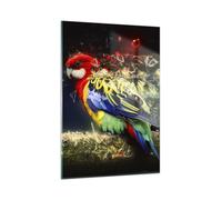 Quadro su Vetro 50x70cm pappagallo uccello piuma Stampe Immagini Moderni Murale
