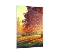 Quadro su Vetro 50x70cm parco autunno albero Stampe Immagini Moderni Murale