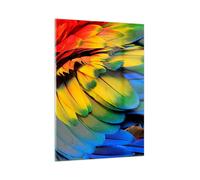 Quadro su Vetro 50x70cm piuma pappagallo uccello Stampe Immagini Moderni Murale