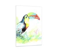 Quadro su Vetro 50x70cm Uccello Tucano la curiosità selvaggio Stampe Murale