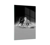Quadro su Vetro 70x100cm Andaluso Cavalli Galoppo Stampe Immagini Moderni Murale