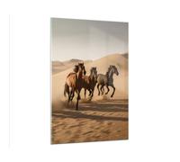 Quadro su Vetro 70x100cm Cavalli Deserto Dune Stampe Immagini Moderni Murale