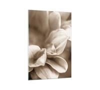 Quadro su Vetro 70x100cm Fiori Boho Senza Stampe Immagini Quadri Moderni Murale