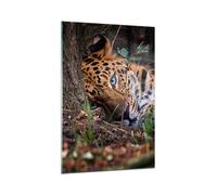 Quadro su Vetro 70x100cm Leopardo Ritratto Giaguaro Stampe Moderni Murale