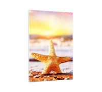 Quadro su Vetro 70x100cm Stella marina Spiaggia sabbia oceano Stampe Murale