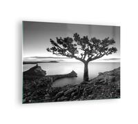 Quadro su Vetro 70x50cm Albero Bianco E Nero Vista Stampe Moderni Murale