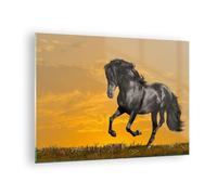 Quadro su Vetro 70x50cm Animali cavallo correndo prato Stampe Moderni Murale